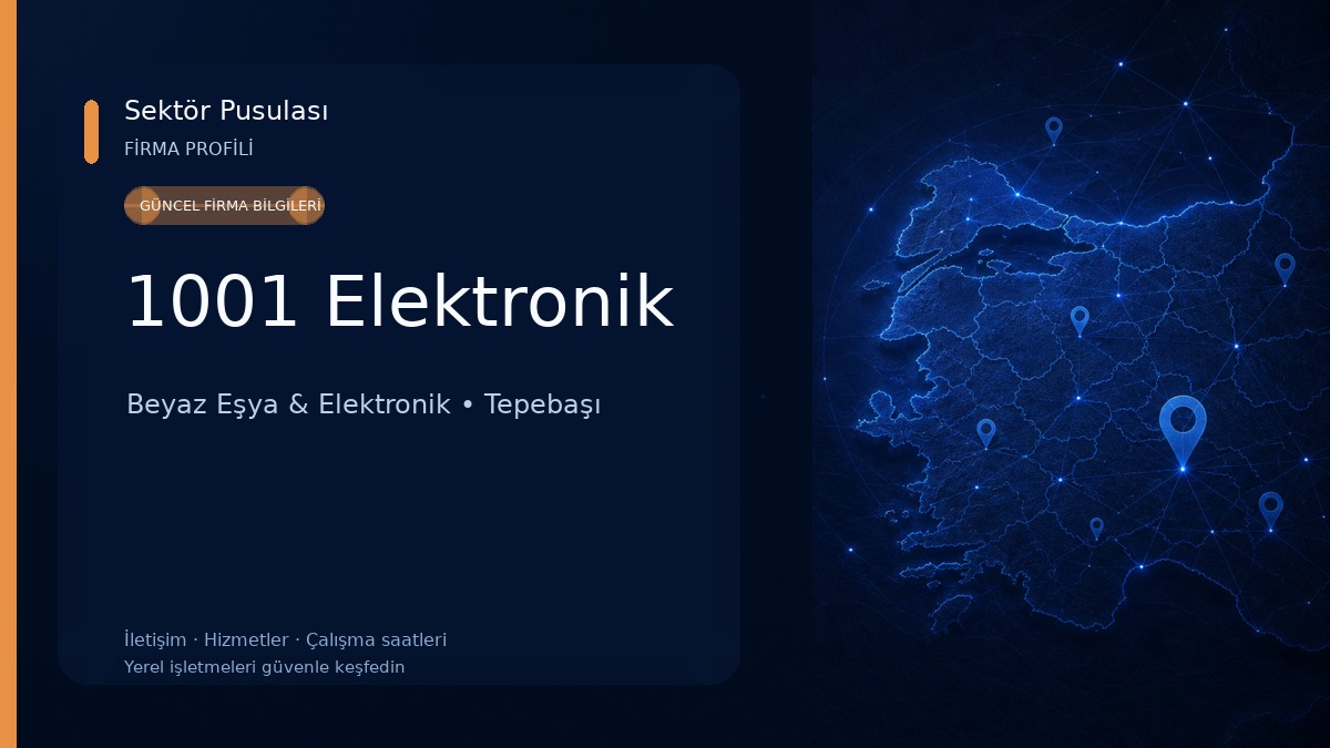 1001 Elektronik