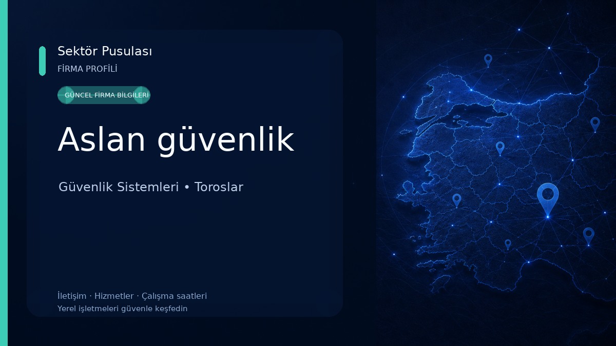Aslan güvenlik Güvenlik Sistemleri